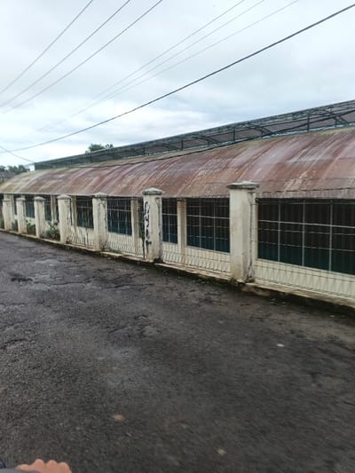 An outdoor, eye-level image depicts a long, single-story building adjacent to an asphalt road in Masaiti, Zambia, beneath an overcast sky. The building features an aged, highly rusted, curved corrugated metal roof, above which a dark, grid-like framework is visible. Its light-colored facade is segmented by multiple concrete pillars and contains numerous rectangular openings fitted with metal security bars. Dark graffiti is visible on one of the pillars in the mid-ground. A low metal fence runs along the building's foundation. The foreground and mid-ground are occupied by a dark, weathered asphalt road exhibiting cracks and surface irregularities. Minimal green vegetation grows along the building's base. Several utility lines traverse the upper portion of the frame against the cloudy sky. A human hand is partially visible in the bottom left corner of the image. No other individuals are present.