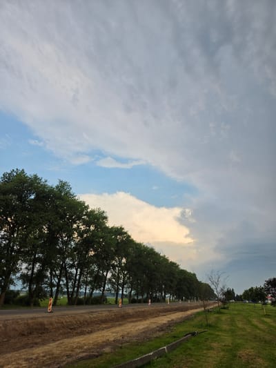 The image depicts a tree-lined road in Širvintos, Lithuania. On the left side of the road, a row of mature trees with dense green foliage runs parallel to the pavement. The road itself appears to be undergoing some form of construction, with a strip of churned-up brown earth visible alongside the asphalt. Several orange and white traffic cones are placed along the road's edge, indicating potential hazards or diversions.

The sky above is a mix of light blue with scattered white clouds and darker, grayer clouds, suggesting a changing weather pattern. The light is diffused, indicating it is likely late afternoon or early evening.

On the right side of the road, there is a grassy area with some scattered trees, one of which is a young, bare-branched tree. In the distance, there are hints of buildings and more trees, suggesting a rural or semi-rural setting. No people are visible in the frame. The scene conveys a sense of a quiet, possibly developing, area on the outskirts of Širvintos.
