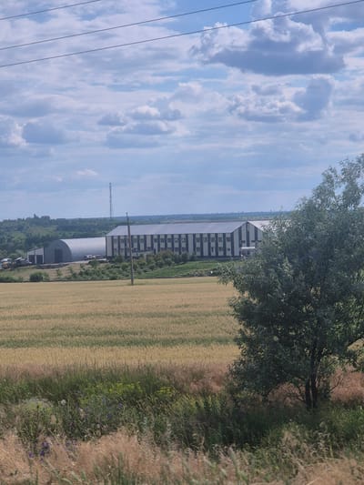 The image depicts a panoramic view of a rural landscape in Pidhaitsi, Ukraine. The foreground is dominated by a field of mature, golden wheat, showing distinct rows from harvesting or cultivation. Beyond the wheat field, a large, modern industrial building with a distinctive striped facade of white and dark grey is visible. To the left of this building is a large, arched structure, likely a hangar or warehouse. A tall telecommunications tower stands in the distance, rising above a line of trees and rolling hills. The sky is partly cloudy, with a mix of white cumulus clouds against a pale blue sky. Several power lines are strung across the upper portion of the image. The overall scene is tranquil and representative of the agricultural and industrial outskirts of a Ukrainian town. There are no people visible in the image.