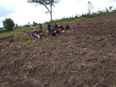 A group of people are gathered on a freshly plowed field, some sitting and others standing. They are clustered together near a tree and some greenery on the left side of the field. The field stretches across the frame, with a mix of dark soil and remnants of harvested crops. Trees line the top edge of the field, and a cloudy sky fills the upper portion of the image. The people appear to be taking a break or having a meal on the field.
