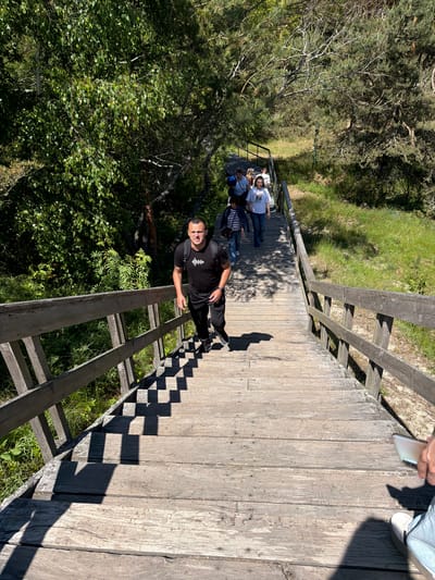 An outdoor shot captures a group of people walking down a wooden staircase surrounded by lush greenery, likely on a sunny day. The staircase is made of weathered wooden planks, with wooden railings on both sides. Sunlight casts distinct shadows on the steps, creating a geometric pattern. In the foreground, a man wearing a black t-shirt with a white graphic and black pants walks down the stairs, looking towards the camera. He has a backpack on. Behind him, several other individuals are also descending the stairs. The vegetation consists of various trees and green grass. The overall scene suggests a nature trail or a pathway in a park or forest area. The location is Morskoye, Russia.
