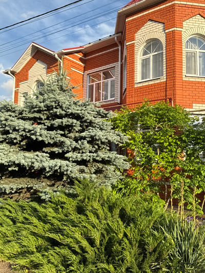The image depicts the facade of a two-story brick house with red and white brickwork, located in the city of Rossosh, Russia. The house features arched windows with white frames and red-tiled roofing. In the foreground, there is a large blue spruce tree and a dense evergreen bush. Behind the spruce, a deciduous tree with vibrant green leaves is visible, partially obscuring the house. The sky above is blue with scattered clouds, and power lines run across the upper portion of the frame. The scene appears to be a sunny day.