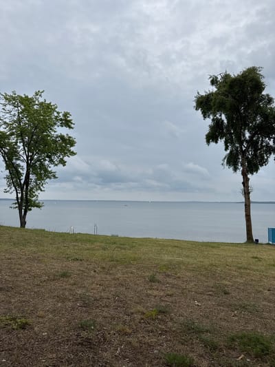 The image depicts a serene, overcast day at a lakeside in Нарацкі сельскі Савет, Belarus. Two mature trees frame the scene, one on the left with a fuller canopy of green leaves, and another on the right with a sparser, darker green foliage. Both trees stand on a grassy embankment that slopes down towards a calm body of water, likely Lake Naroch, given the location. The foreground consists of dry, sparse grass and soil. In the middle ground, the lake stretches out, its surface appearing smooth with subtle ripples. Several small sailboats are visible in the distance on the water, as well as a red boat closer to the right bank, suggesting recreational activity. The horizon is marked by a faint line of land under a cloudy, gray sky. Two white posts are subtly visible on the grassy area near the water's edge. To the far right of the image, a small section of a blue structure, possibly a bench or part of a utility box, is visible near the base of the right-hand tree. A dark blue bucket is also placed on the ground near this structure. The overall atmosphere is tranquil and natural.