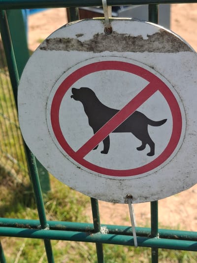 A circular sign with a black silhouette of a dog inside a red circle with a diagonal red line through it is attached to a green metal fence. The sign is white and appears weathered, with some dirt and discoloration. The fence is made of vertical and horizontal green metal bars, and behind the fence is a patch of dry grass and dirt. The background is blurred, showing a sandy area and some greenery. The sign indicates that dogs are not allowed in this area. The location is identified as Lēdmane, Latvia.