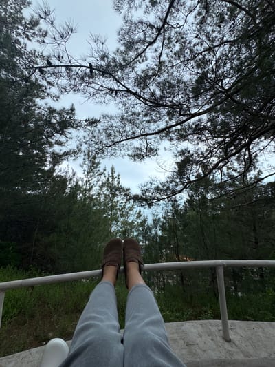 The image shows a view from a person sitting on a structure, possibly a balcony or elevated platform. The person is wearing grey pants and brown shoes. Their legs are stretched out, with the feet resting on a metal railing. The backdrop features dense foliage with tall trees, some partially obscuring the sky. The sky is overcast with a hint of blue. There are tree branches in the foreground, some with pine cones. The scene is outdoors and appears to be in a forested or park-like area. While the location is mentioned in the prompt, the image itself does not provide sufficient details to verify the setting in Sosnovy, Russia.
