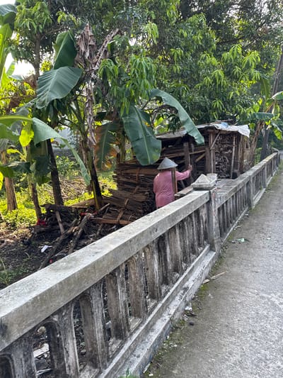 A person wearing a pink shirt and a conical hat stands by a wooden structure filled with stacked firewood. The person is facing away from the camera, reaching towards the firewood. The structure appears to be a small, open-sided shed. To the left of the shed are banana trees with large leaves and scattered piles of wood. A concrete bridge railing runs along the right side of the image, separating the scene from a paved path. The environment appears to be rural, possibly in or around Seliling, Indonesia, given the tropical vegetation and the person's attire. The lighting suggests it is daytime, with sunlight filtering through the trees.