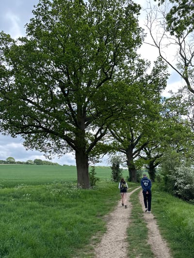 The image depicts a rural path in East Cambridgeshire, United Kingdom, dominated by a large tree with dense green foliage in the foreground. Two people are walking along the path: one is wearing a navy blue jacket and dark trousers, and the other is wearing a light-colored jacket with a backpack. The path is bordered by grass and a field. The sky is overcast.