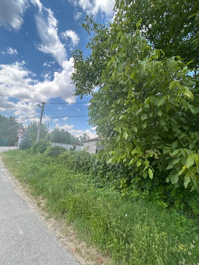 The media file depicts an outdoor scene with lush green foliage from trees and tall grass bordering a paved road. The sky is a bright blue with fluffy white clouds, suggesting a clear day. Several utility poles with wires are visible, indicating a populated or developed area. A road sign with the number "40" within a red circle, signifying a speed limit, is also present. In the background, glimpses of buildings with stone and tiled roofs can be seen, hinting at a rural or semi-urban setting, possibly in Dondukovskaya, Russia. The image is oriented vertically, with the sky and trees occupying the upper portion and the road and grass filling the lower part, rotated to the right. No people are visible in the frame. The overall impression is one of a serene, natural environment juxtaposed with man-made infrastructure.