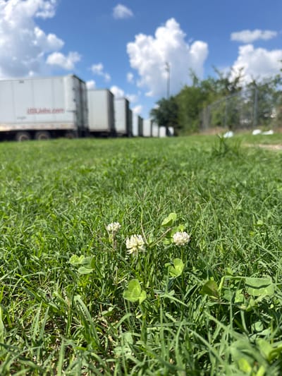 A low-angle, eye-level shot captures a grassy field with several white shipping trailers parked in the background. The trailers are lined up and appear to be in a storage lot. The grass in the foreground is lush and green, with several small white clover flowers and clover leaves visible. The sky is blue with scattered white clouds. A chain-link fence is visible to the right of the trailers. The scene appears to be in an industrial or commercial area. The location is identified as Lebanon, United States of America.