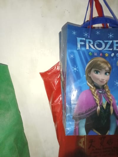 The scene depicts an interior view of three bags positioned against a light-colored wall. The primary subject is a rectangular blue gift bag featuring Disney's "Frozen" theme. The bag displays the word "FROZEN" in white capital letters near the top, surrounded by white snowflake graphics. Below the title, several colorful, gem-like icons are visible. The lower portion of the bag's visible surface features a cartoon depiction of the character Anna, with light brown hair styled in two braids, blue eyes, and wearing a purple cape over a black and blue dress. The bag has blue fabric handles, partially visible at the top. To the left and slightly behind the blue bag, a crumpled red plastic bag or sheet is present. Further to the left, a vertical section of green textured fabric or material is partially visible. The background consists of a uniformly lit, off-white wall, showing minor surface imperfections. No individuals, animals, or explicit actions are present in the image. The location is Inxuba Yethemba Nu, South Africa.