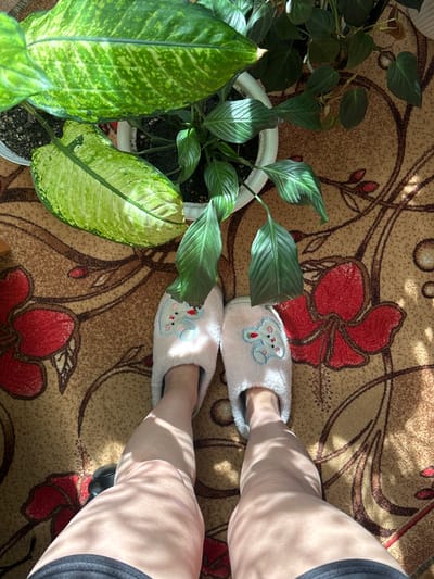 The image presents an overhead view of an indoor scene. A patterned carpet with red floral designs and swirling brown lines covers the floor. Two potted plants with lush green foliage are situated on the left side of the frame. To the right, a person wearing soft, light pink slippers adorned with rabbit embroidery can be seen. The person's legs, partially obscured by shadows, are also visible. Sunlight streams into the room, casting strong shadows across the carpet and legs. There is no indication of the location being in Dubrova, Russia or any other specific city.