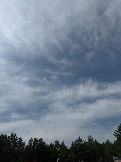 The image captures a wide, cloudy sky above a dark line of evergreen trees. A small, dark object, possibly an aircraft, is visible in the upper right quadrant of the sky. The lower edge of the frame shows the dark silhouettes of pine trees and hints of structures, suggesting a rural or semi-forested area. The sky is a mixture of gray and blue tones, with wispy clouds stretching across the frame, indicating a partly cloudy day. The overall impression is one of an outdoor scene on a potentially overcast day. The location of Ayyrtau, Kazakhstan is not discernible from the visual information present in the image.