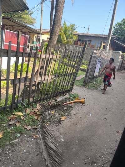 The image depicts a dusty, unpaved street scene in Moratuwa, Sri Lanka, adjacent to a low-lying residential area characterized by simple, weathered structures. A man, shirtless and wearing a red and green sarong, walks on the right side of the path. He appears to be of middle age, with dark hair and a weathered complexion. A large, dry palm frond lies on the ground in the foreground, partially obstructing a rustic wooden fence. Beyond the fence, lush green vegetation is visible, hinting at a tropical environment. Several buildings with corrugated metal roofs and painted facades are visible in the background, suggesting a somewhat informal urban setting. The sky is a clear blue, indicating fair weather. The overall impression is one of a casually developed area in a warm climate, likely near a coastal region given the presence of palm trees.