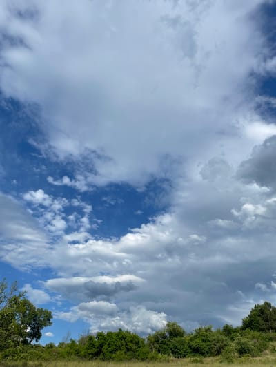 The image displays a vibrant natural scene, dominated by an expansive sky filled with diverse cloud formations over a rural landscape in Novo Leski, Bulgaria. The sky exhibits a striking contrast between deep blue patches and various types of clouds. Large, bright white cumulus clouds with discernible shadows suggest significant depth and volume, alongside darker grey clouds that appear thicker and more dense. Lighter, wispy clouds are also scattered across the blue sky, indicating a dynamic and changeable weather pattern.
Along the right side of the frame, a dense line of lush green trees and thick, grassy vegetation forms a natural boundary, suggesting the edge of a forest, field, or elevated terrain. The foliage is vibrant and full, indicative of a summer or late spring season.
The scene captures a daytime setting, with ample natural light illuminating the clouds and landscape, though the sun itself is not visible. There is no discernible activity taking place, nor are there any people or man-made objects present, emphasizing the untouched natural environment. No visible text is present in the image.