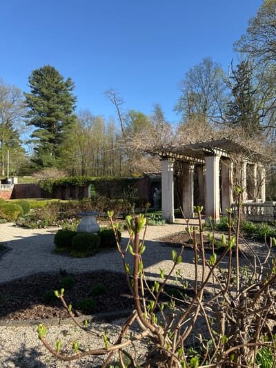 The image depicts a garden scene in the Town of Red Hook, United States of America, on a sunny day. The focal point is a stone pergola draped with bare vines, suggesting either late winter or early spring. A gravel path leads towards the pergola, flanked by garden beds with emerging spring foliage and small flowers. A brick wall, partially obscured by greenery, borders the garden. In the background, a line of trees with budding leaves is visible. The sky is a clear, bright blue. In the foreground are the branches of a bush or small tree with emerging leaves. A stone urn or decorative element can be seen along the path.