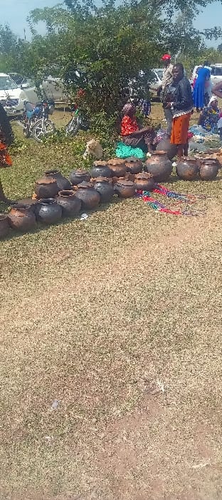 The scene depicts an outdoor market in Kisii Central ward, Kenya, occurring on dry, sparsely vegetated ground under a clear sky. In the foreground, a display of approximately 25-30 dark, traditional earthenware pots of various sizes, some with lids, is arranged in a linear fashion on the ground. Beside these pots, several colorful beaded strands, resembling necklaces, are also laid out.
In the midground, a dense, leafy green tree is prominently situated. Beneath and around this tree, five individuals are observable. One woman, dressed in a red patterned top and a dark skirt, is seated on a turquoise fabric on the ground. Another woman, wearing a dark jacket and a long orange skirt, stands, holding a small dark object in her right hand. Additional figures are partially visible further back, including a person in blue attire and another wearing a red cap. No explicit interactions among individuals are discernible; they appear to be attending to or observing the market setup.
The background features multiple white passenger vehicles and two motorcycles parked under and behind the tree line. The ground consists of a mix of dry grass and exposed soil.