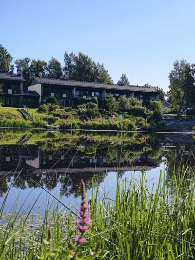 This is a landscape photograph taken on a clear, sunny day in Lapua, Finland. The image captures a serene scene with a body of water reflecting a row of modern, two-story apartment buildings. The buildings, featuring dark roofs and numerous windows, are situated on a gently sloping grassy bank dotted with lush green bushes and trees. In the foreground, tall green grasses and a delicate pink flower are in focus, partially obscuring the water's surface. A small, white boat is visible on the water near the bank, and its reflection, along with the reflections of the buildings and surrounding vegetation, are clearly visible in the still water. The sky is a bright, cloudless blue. The overall impression is one of peaceful coexistence between human habitation and nature.