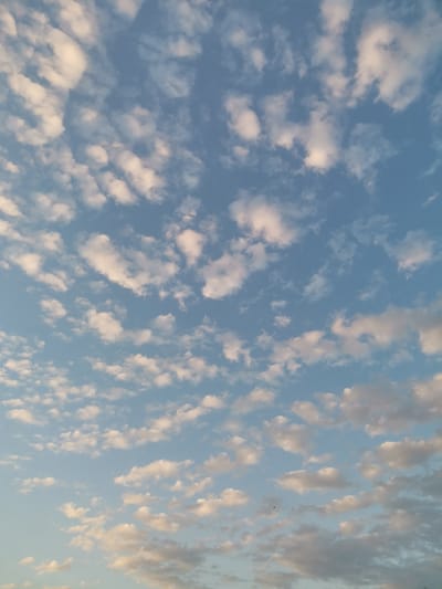 The image shows a sky filled with scattered white and light gray clouds against a clear blue sky. The clouds are of various sizes and shapes, some appearing wispy and others more defined. The lighting suggests it might be late afternoon or early morning, as some of the clouds have a warm, golden hue. There are no people, animals, buildings, or other discernible objects in the frame. The scene appears to be an open sky above the city of Obligado, Paraguay.
