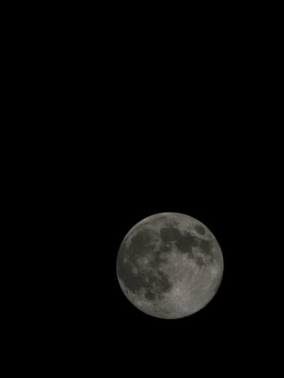 A spherical moon, bathed in a gray hue, is centered on the right side of the frame against a stark black background. Its surface is textured with craters and varied shading, suggesting a three-dimensional, rocky form. The left side of the image is empty, emphasizing the moon as the primary subject. The lighting highlights the details of the lunar surface, enhancing its visible texture.