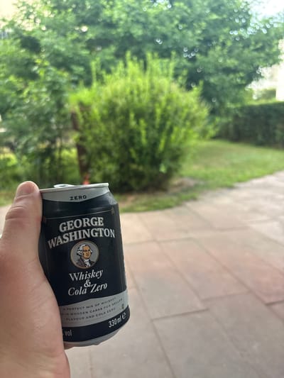 A person's hand holds a can of "George Washington Whiskey & Cola Zero" in an outdoor setting. The can is predominantly black with white lettering and features a portrait of George Washington. The background is blurred, showing greenery, possibly trees and bushes, and a paved area with light-colored tiles. The location is identified as Wörth am Main, Germany.