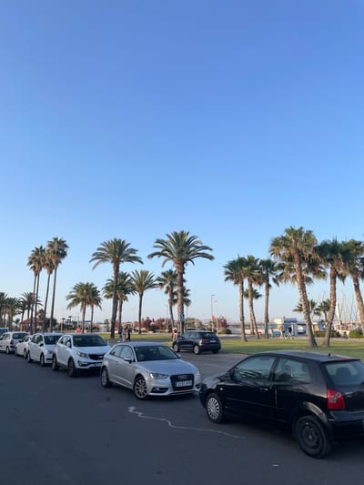 The image shows a parking lot lined with palm trees under a clear blue sky, suggesting a sunny day. Several cars are parked in a row, mostly white sedans and a black hatchback. In the background, there are some buildings and masts of sailboats, hinting at a coastal or marina location. A few people are visible in the background, walking near the parked cars and palm trees, seemingly enjoying the outdoor environment. The scene appears to be a quiet, relaxed setting, possibly a tourist destination given the palm trees and proximity to a marina. The time of day appears to be late afternoon or early evening, as indicated by the soft lighting and long shadows cast by the palm trees. The overall mood is one of leisure and pleasant weather. Visible text includes license plates on the cars, such as "0295 HPN" and "887 KGL".