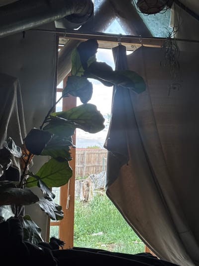 A partially opened window reveals a view of greenery and a weathered wooden structure. A brown curtain is draped across the top portion of the window, obscuring some of the view. A plant with large, dark green leaves sits indoors near the window. A section of silver piping is also visible in the foreground. The location is indicated as Boulder, United States, though there are no specific indicators in the image that confirm that city. The time of day is ambiguous due to the interior's dim lighting. No people are depicted in the image.