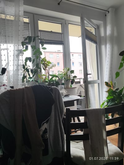 The image depicts an indoor scene looking out through a glass door and windows. The setting appears to be a home, possibly a living room or dining area, with a view onto a building and sky outside. Several houseplants are visible, arranged on a windowsill and shelves, suggesting a love for plants. One plant in the foreground on the right has variegated leaves with green and reddish-pink hues.
In the foreground, chairs are present. One chair, on the right side of the frame, has a light-colored blanket or scarf draped over its back. Another chair, on the left, is partially obscured by clothing items, including a dark t-shirt with a graphic print and a light brown garment.
Through the glass door and windows, a balcony railing is visible, and beyond that, a light-colored apartment building with multiple windows. The sky outside appears bright, suggesting daytime. The overall atmosphere is somewhat cluttered due to the foreground objects, but the presence of plants and the natural light create a homey feel.
The timestamp "01.07.2026 11:39" is visible in the bottom right corner of the image. The location is identified as Lębork, Poland. There is no discernible activity or event taking place; it's a still image of a domestic setting.