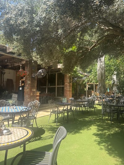 The image shows an outdoor patio area of a restaurant or cafe in the city of Ra'anana, Israel.  The patio is located at coordinates 32.173, 34.872, and features a large olive tree that shades the area. The patio is made of artificial grass, surrounded by brick walls and a pergola. There are several tables and chairs arranged for dining, some of which are occupied. The tables are covered with tablecloths, some have colorful mosaic designs. In the distance, additional seating is visible, and there is a large umbrella and a fan. The tables are adorned with flower pots and plants. The overall ambiance of the patio is peaceful and relaxing, with a sunny and outdoor vibe.  There are no people present in the image.