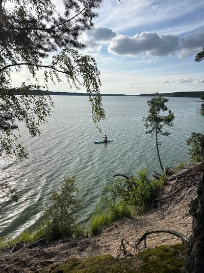 The image depicts a serene natural landscape at Lake Ladoga, near the city of Priladozhskoe, Russia. The foreground is characterized by a steep, wooded embankment covered with moss and exposed tree roots. In the middle ground, a person is seen paddleboarding on the calm, rippling surface of the lake. The water reflects the sky, which is partly cloudy with a mix of white and gray clouds against a pale blue expanse. The background features a distant treeline bordering the lake, with the horizon line visible in the distance. The lighting suggests it is daytime, likely late afternoon, with the sun casting highlights on the water's surface and illuminating the vegetation.