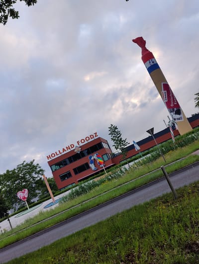 A wide, slightly angled outdoor shot displays the Holland Foodz building and its uniquely decorated surroundings. The scene features a modern, reddish-brown building with large dark windows, prominently displaying "HOLLAND FOODZ" in red capital letters on its facade, along with a circular logo of two stylized figures. A colorful mural or large sticker depicting cartoon characters, one with a rainbow-colored item, adorns the building's side.
The landscape is characterized by lush green grass in the foreground, bordering a dark asphalt road or pathway that stretches across the middle ground. Several large, candy-themed sculptures add a whimsical touch. Most notable is a giant, towering sculpture resembling a candy wrapper, angled upwards towards the sky. Its top is twisted red, like a sealed wrapper, while its main body is tan with a blue and white striped band. Text on this sculpture reads "TOPBY" and "De enige echte Oosterhoutse Kaneel...", signifying a cinnamon product from Oosterhout. To the left, a large pink and white striped heart-shaped lollipop sculpture stands, and a partially visible red and white candy cane sculpture is seen closer to the building.
The sky is overcast with patches of brighter light breaking through the clouds, suggesting a morning or late afternoon setting. Trees are visible on the left and in the background, adding natural elements to the scene. No people or direct activities are depicted, focusing instead on the distinctive architectural and decorative elements of the location. The overall atmosphere is playful and unique, highlighting the confectionery theme of the business.