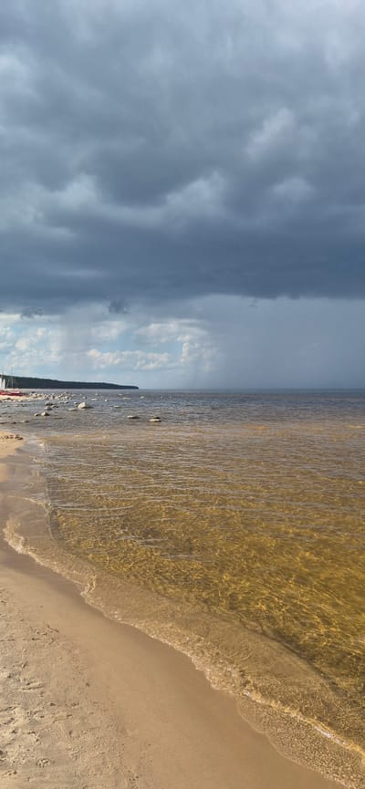 This image depicts a tranquil beach scene in Motornoe, Russia, under a dramatic sky. A sandy shore curves gently into the shallow, amber-colored water. Scattered white stones dot the water's edge and extend further into the sea, some partially submerged. In the distance, a dense line of dark green trees forms the coastline, with a sliver of lighter sky visible above it. The sky itself is a focal point, dominated by heavy, dark grey clouds that create a sense of impending weather. A faint, lighter patch in the sky suggests a break in the clouds or the distant onset of rain. No people are visible in the image.