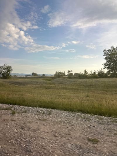 This is a vertical, low-angle, medium-shot photograph taken outdoors. The image is dominated by a wide expanse of dry, golden grass that appears to be a field or meadow. A dirt path covered in gravel runs diagonally across the right side of the frame, leading the eye into the scene. The sky above is a light blue, dotted with scattered white clouds, suggesting a clear or partly cloudy day. In the distance, a line of trees and some hazy mountains can be seen. There are also a few trees in the foreground and mid-ground. The lighting indicates it is likely daytime, possibly late afternoon or early evening, due to the soft, diffused light and the slight haze in the atmosphere. The overall mood is serene and natural, with a sense of open space and tranquility. There is no visible text in the image. The location context provided is Novonikolayevka, Russia, which aligns with the natural, rural landscape depicted.