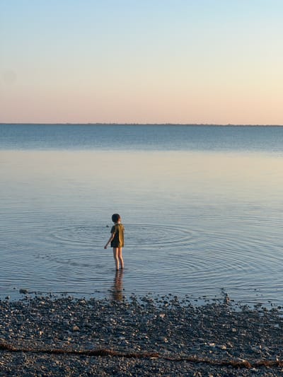 A solitary child stands in shallow water at the edge of a calm body of water. The child, wearing a green t-shirt and dark shorts, is facing away from the camera, looking out towards the horizon. Gentle ripples emanate from the child's presence in the water. The foreground is a rocky shore with a few strands of seaweed. The background shows a distinct line where the water meets a distant landmass, which is likely a shoreline with vegetation. Above this line, the sky transitions from a pale orange near the horizon to a soft blue at the top of the frame, indicating either sunrise or sunset. This scene appears to be a natural landscape, not within a city like Karashygan, Kazakhstan, which is characterized by different geographical features.