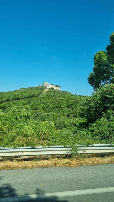 The image shows a castle ruin on a hilltop covered in dense green foliage under a clear blue sky. A guardrail runs horizontally across the bottom foreground of the image, separating the road from the vegetated hillside. The castle appears to be constructed of stone, with several intact walls and structures visible. The surrounding vegetation is thick and lush, suggesting a warm climate. The overall scene depicts a historical site integrated into a natural landscape. The location is specified as the city of Neos Panteleimonas, Greece.