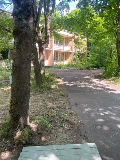 The image depicts a serene outdoor scene with a brick building partially obscured by lush green trees. In the foreground, a path paved with dark asphalt winds through the area, dappled with sunlight filtering through the leaves. To the left of the path, a large tree trunk with textured bark stands prominently, its base surrounded by dry grass and exposed soil. Further back, another tree trunk is visible. Beyond the trees, the multi-story brick building features white-framed windows and balconies with railings. The overall environment suggests a tranquil, possibly abandoned or secluded location. This scene is located in the city of Shelkovo, Russia.