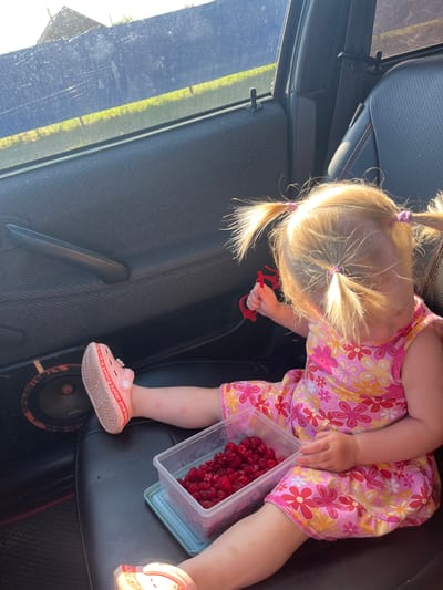 A young child with blonde hair in pigtails sits in the back seat of a car, holding a red toy. The child is wearing a pink and yellow floral dress and pink sandals. A clear plastic container filled with raspberries sits next to the child. The interior of the car is visible, including a dark-colored seat with red stitching and a car door handle. Outside the car, green grass and a bright sky suggest it is daytime with good weather. The overall scene appears casual and relaxed. The text on the child's sandals is visible but illegible. The location is identified as Rakhinka, Russia.