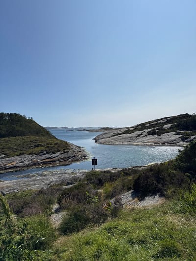 A wide, low-angle shot captures a bright, sunny day on a body of water with rocky, vegetated shorelines. The scene is located in Rong, Norway. The water is a clear blue, reflecting the bright sky and sunlight, creating a shimmering effect on the surface. On the left, a densely wooded hill slopes down to meet the water. The rocky shore is rugged, with layers of grey stone and patches of green and yellow vegetation. On the right, a similar rocky, vegetated slope rises from the water's edge. In the middle ground, a dark, rectangular marker with a white numeral "1" stands in the water, possibly indicating a channel or navigation point. The foreground is filled with tall green grass and various low-lying bushes and plants. The sky is a clear, vibrant blue with no visible clouds. In the distance, a chain of small islands or rocky outcrops can be seen on the horizon. The overall impression is one of natural beauty and serene isolation.