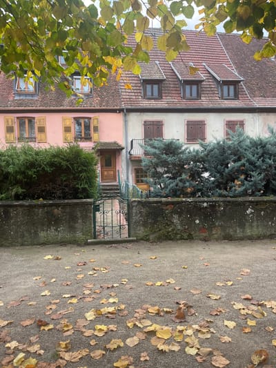 An outdoor scene in Obernai, France, depicts two adjacent two-story residential buildings viewed from a slight distance, likely from a path or park. The foreground consists of a light brown gravel surface strewn with numerous scattered dry leaves in shades of yellow, gold, and brown. A weathered, low concrete or stone wall runs horizontally across the mid-ground, featuring an open, ornate dark green metal gate with scrollwork in its center.

Behind the gate, light blue steps ascend towards a brown wooden door with a small overhead canopy, belonging to the left building. This structure is rendered in light pink and has a red tiled gabled roof. Its first floor displays two windows with open yellow wooden shutters. The ground floor windows are partially obscured by a dense, dark green evergreen shrub situated to the left of the entrance.

The right building, contiguous with the left, features a light beige facade and a matching red tiled gabled roof. The first floor presents three windows fitted with closed dark brown wooden shutters, each featuring a heart-shaped cutout. A small black metal balcony extends from the ground floor, situated to the left of a partially visible brown wooden door and window. A cluster of bluish-green coniferous trees partially obscures the ground floor of this building, extending above the stone wall. The roofline of both buildings is consistent, with the right building featuring three small dormer windows with dark brown frames. Overhanging branches with yellow-green leaves occupy the upper portion of the frame, indicating an autumn season. The sky is overcast and light grey. No individuals are present in the scene.