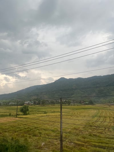 This image captures a vast, tranquil rural landscape in Thôn 18, Vietnam, characterized by natural features and subtle human presence.

The upper portion of the frame is dominated by an overcast sky, filled with dense, grey and white clouds. The light appears diffused and soft, suggesting either a heavily cloudy day or the time around sunrise or sunset, though the overall brightness leans towards daytime.

Below the sky, a prominent mountain range stretches across the middle of the photograph. These mountains are covered in dense, dark green foliage, indicative of a forest or thick vegetation. The distant peaks appear somewhat hazy, blending into the cloudy horizon.

At the base of the mountains and extending into the foreground on the right, are expansive agricultural fields. These fields are a mosaic of golden-yellow and light green, suggesting they are likely rice paddies, possibly either recently harvested or nearing harvest. Distinct patterns, perhaps from cultivation or harvesting, are visible within the fields. A single, lush green tree stands isolated in the middle of these fields.

Several dark power lines traverse the scene horizontally, leading to utility poles. One wooden utility pole is prominently visible in the mid-ground on the right side. Small clusters of houses or buildings can be seen nestled among the trees at the foot of the mountains, hinting at a small village or settlement.

No human figures or explicit activities are visible, emphasizing the quiet, natural setting. The overall mood is one of serenity and natural beauty, highlighting the agricultural and mountainous terrain of the region. There is no visible text in the image.