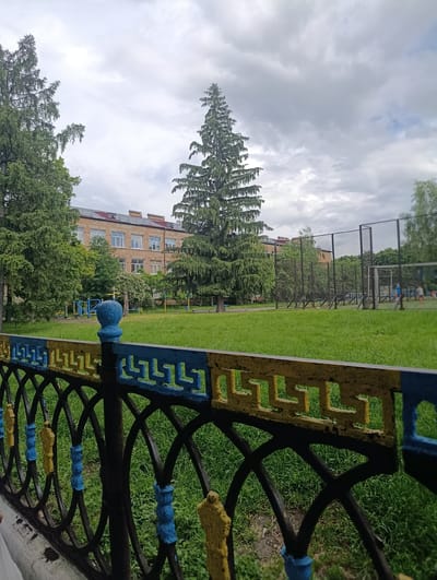 The image shows a view of a schoolyard in the city of Khorol, Ukraine. In the foreground, there is a decorative metal fence painted with yellow and blue patterns. Beyond the fence, a grassy field stretches towards a fenced sports area, possibly a football field, with a goal visible. In the background, a multi-story building, likely a school, is situated amidst trees. The sky is overcast with clouds. There are some indistinct figures of people on the sports field. The overall scene depicts an outdoor educational or recreational space.