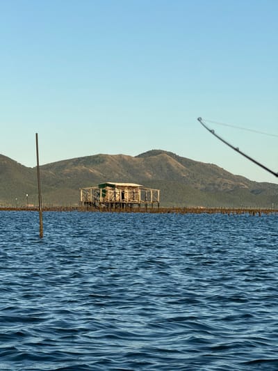 The image depicts coastal waters near Dumbéa, France, under a clear, light-blue sky. In the background, a range of rolling mountains covered in dark green foliage forms the distant horizon. The foreground and mid-ground are dominated by dark blue, rippled water.
A single-story, light-colored wooden stilt structure, likely an aquaculture hut or fishing shack, is positioned centrally on the water. This structure features a light-toned roof, planked wooden walls, and a visible section of green fabric or tarp on its exterior. It is supported by numerous vertical wooden piles driven into the seabed. Extending horizontally from the vicinity of this structure, a dense field of dark wooden poles or stakes protrudes from the water, indicating an aquaculture farm or similar marine cultivation. A lone dark vertical pole stands in the water in the lower-left quadrant of the frame, closer to the viewer. From the upper-right corner, the tip and upper shaft of a dark fishing rod, complete with a visible line guide, angles into the frame, extending towards the center. No individuals are depicted within the scene; however, the presence of the fishing rod indicates human presence and activity.
