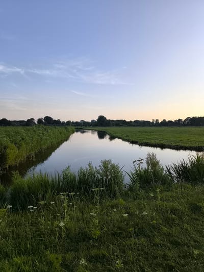 The image depicts a tranquil waterscape at dusk in Oudorp, Netherlands. A calm, dark body of water, likely a canal or small river, occupies the center of the frame, reflecting the pale blue sky and distant trees. The water is bordered on the left by a dense growth of tall, green reeds and grasses, which cast a shadow on the water's surface. On the right, the water is also edged with lush green grass, transitioning into a wider, manicured field that stretches towards a treeline in the distance. The sky above is a soft gradient of blue, with faint wisps of clouds, suggesting the fading light of sunset. The overall environment is natural and rural, with no visible human presence or activity.