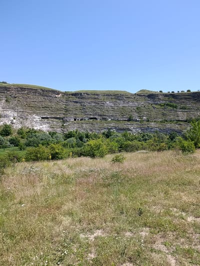 In Trebujeni, Moldova, a wide shot captures a natural landscape under a clear blue sky. In the foreground, a field of dry, golden grass dotted with small white flowers stretches across the bottom of the frame. Behind the field, a dense line of green trees forms a lush band across the midground. Rising above the trees is a dramatic, layered rock cliff face. The cliff shows distinct horizontal strata and features several dark openings, suggesting caves or ancient dwellings carved into the rock. The top of the cliff is topped with more green vegetation, and a few scattered trees are visible along the upper ridge. The overall scene depicts a serene, rural environment with a prominent geological feature.