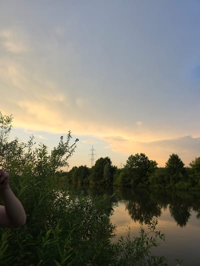 The image depicts a natural landscape scene near the city of Togashevo, Russia, likely during sunset. In the foreground, lush green foliage, consisting of branches and leaves, dominates the left side of the frame. A portion of a person's forearm and elbow is visible on the far left, appearing to be resting or holding onto the foliage. Three small birds are perched on thin branches extending from the bushes. In the middle ground, a calm body of water reflects the surrounding trees and the sky. The water's surface is smooth, creating a mirror-like effect. Along the far bank of the water, a dense line of trees forms a dark green barrier, extending across the horizon. A tall, solitary electricity pylon stands prominently against the sky behind the trees on the left side of the image. The sky above is a gradient of soft colors, transitioning from pale yellow and orange near the horizon, indicative of sunset, to a light blue towards the top of the frame. Scattered, wispy clouds are present in the sky. The overall atmosphere is serene and natural.