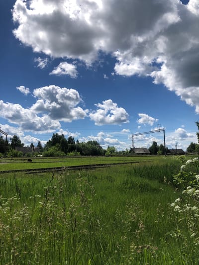 This is a wide shot of a rural landscape in Izdeshkovo, Russia, on a sunny day with a partly cloudy sky. In the foreground, tall green grass and wildflowers grow densely. In the midground, multiple sets of train tracks run parallel to each other, disappearing into the distance. Beyond the tracks, a line of dense green trees forms the horizon, with a few small, simple buildings nestled amongst them. Overhead, large, fluffy white clouds drift across a vibrant blue sky. The scene conveys a sense of rural tranquility and the presence of railway infrastructure within a natural setting.