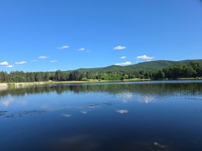 This is a panoramic, eye-level, full shot of a calm lake in Osetenovo, Bulgaria, on a sunny day. The sky is clear blue with a few wispy white clouds. The lake's surface reflects the sky, surrounding trees, and rolling green hills in the distance. The foreground of the lake is a deep blue, with some ripples and patches of floating vegetation. Along the far bank, a dense line of evergreen trees borders the lake, with a gentle slope of mixed trees and vegetation behind them, leading up to the hills. A low stone wall or embankment runs along a portion of the left bank. The overall scene is peaceful and natural.