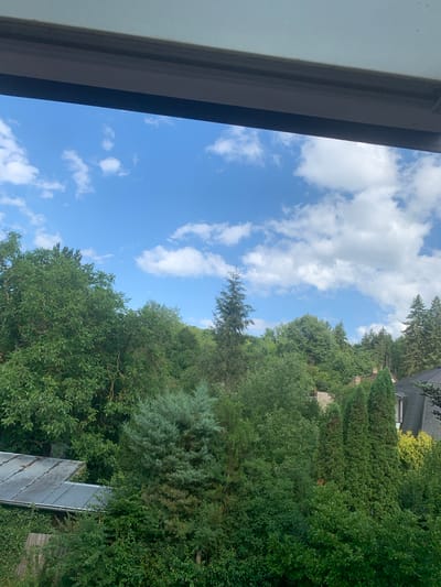 The image shows a view from a window looking out at a lush green landscape with trees and a blue sky with white clouds. A dark window frame is visible at the top of the image. The landscape is dominated by various types of trees, some deciduous and some coniferous, creating a dense forest-like appearance. In the lower left, a metal-roofed structure, possibly a shed or garage, is partially visible, covered in ivy. Further into the scene, rooftops and chimneys of houses can be seen peeking through the trees, indicating a residential area bordering the natural landscape. The sky is bright and sunny with scattered fluffy clouds. The scene evokes a sense of a tranquil, possibly suburban or rural, environment. The location is identified as Petrov, Czechia.