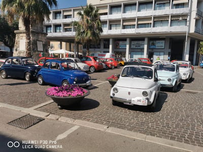 In Follonica, Italy, on a sunny day, a collection of vintage Fiat 500 cars are parked on a cobblestone street in front of a modern building with a covered walkway. The building has multiple floors with balconies and windows. In the foreground, a dark planter filled with bright pink flowers sits on the left, and a dark gray manhole cover is visible on the asphalt. Several Fiat 500s are lined up, including a dark blue one on the left, a bright blue one next to it, and several white and light blue models further down the street. Some of the cars have stickers or flags attached, and license plates are visible on some. A palm tree is present on the left side of the frame. The scene appears to be an outdoor event or car show.