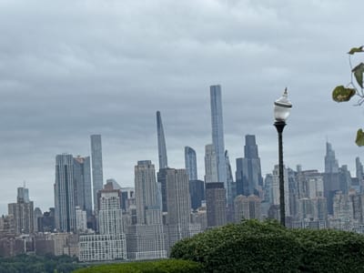 A wide shot captures a panoramic view of the Manhattan skyline from North Bergen, United States of America, under a hazy, overcast sky. In the foreground, a dense, lush green hedge forms a natural barrier, partially obscuring the lower portion of the cityscape. To the right of the frame, a decorative street lamp with a glass globe stands tall, adding a touch of urban elegance. The middle ground is dominated by a dense collection of skyscrapers of varying heights and architectural styles, creating a dramatic and imposing urban landscape. The buildings exhibit a range of materials, from glass and steel to concrete, and their silhouettes stand stark against the muted sky. The background consists of more distant buildings, some of which are partially obscured by the haze, suggesting the vastness of the city. The overall impression is one of a sprawling metropolis viewed from a distance, emphasizing the scale and density of the urban environment.