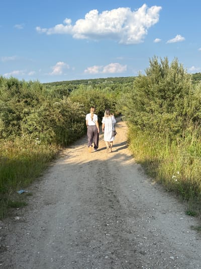 This media file captures two individuals walking on a dirt path in Lan'shino, Russia. The path is bordered by dense green foliage and tall grasses on the left, and a more sparse, sun-drenched area with scattered rocks and pebbles on the right. The sky above is a clear blue, dotted with fluffy white clouds, suggesting fair weather.
The two people are walking away from the camera. The person in front wears a light-colored, possibly white, dress. Behind them, the second person is dressed in dark pants and a light-colored top. Both individuals appear to be walking casually, enjoying a stroll in the natural environment.
The lighting indicates that it is daytime, likely late afternoon or early evening, given the long shadows cast across the path. The overall scene evokes a sense of tranquility and peaceful outdoor activity. The location context of Lan'shino, Russia, places the scene in a rural or semi-rural setting, consistent with the natural landscape depicted. No visible text is present in the image.